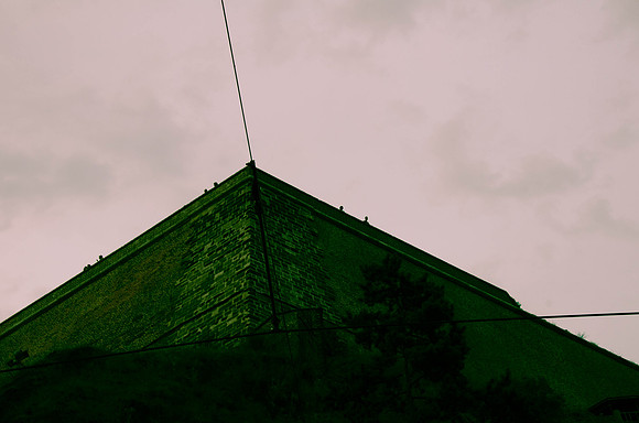 DSC_8088