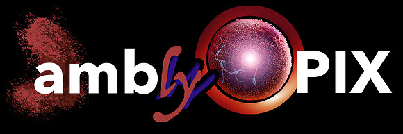 AmblyoPIX by Lamblyoptic